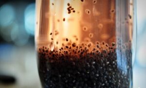Té de Chia Adelgazar?