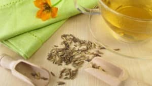 Cómo Hacer Té de hinojo – Ingresos, Beneficios y Consejos