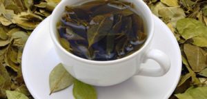6 Beneficios del té de hojas de aguacate - Para qué sirve, cómo hacer y contraindicaciones