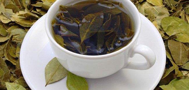 6 Beneficios del té de hojas de aguacate - Para qué sirve, cómo hacer y contraindicaciones 1 6 Beneficios del té de hojas de aguacate - Para qué sirve, cómo hacer y contraindicaciones