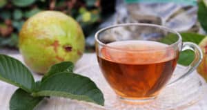 Té de Hoja de Guayaba – Receta, Como Hacer y Consejos