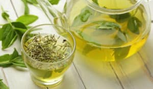 Cómo Hacer Té de Ajenjos – Ingresos, Beneficios y Consejos