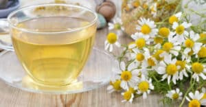9 Beneficios de la matricaria - Para que sirve y propiedades