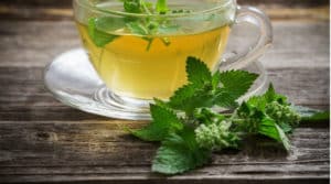 15 Beneficios del té de Melissa - Para que sirve, contraindicación y como hacer