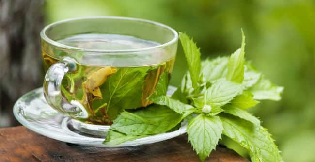 10 Beneficios del Té de Menta - Para Qué Sirve, Cómo Hacer y Consejos 1 10 Beneficios del Té de Menta - Para Qué Sirve, Cómo Hacer y Consejos 1