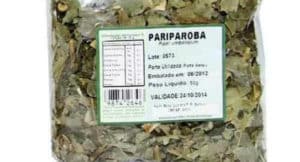 Té de pariparoba adelgaza? Para qué sirve, cómo hacer y consejos