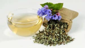 Té de Pulmonaria – Para Que Sirve y Como Hacer