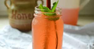 9 Beneficios del Ruibarbo – Para Que Sirve, Té y Indicaciones