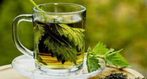 Té de Perejil Adelgaza? Para Que Sirve y Beneficios