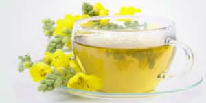 Verbasco, Para Que Sirve, Como el Té, los Beneficios y las Propiedades de las