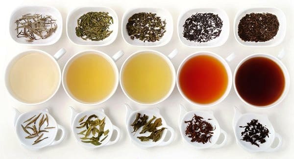 10 Té Adelgazante Para Perder la Barriga 1 10 Té Adelgazante Para Perder la Barriga 1