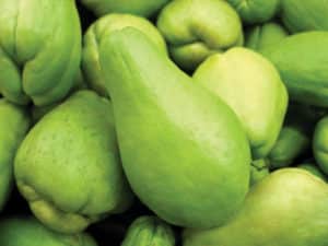 Chayote engorda o adelgaza?