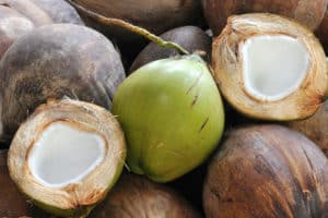 Coco Engorda o Adelgaza?