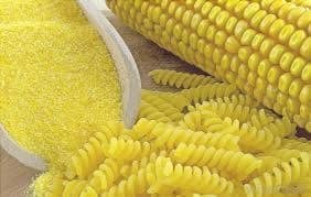 corn carpeta