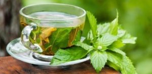 Cómo Hacer Té de Hierba hierba limón – Receta, Beneficios y Consejos