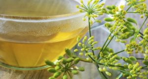 15 Beneficios de la Hierba Dulce – Para que sirve y propiedades