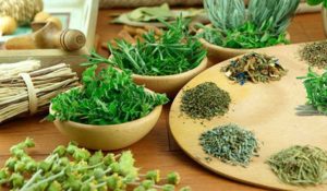 7 Hierbas Medicinales Para Adelgazar