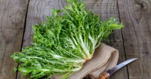 14 Beneficios de la escarola - Para que sirve y propiedades