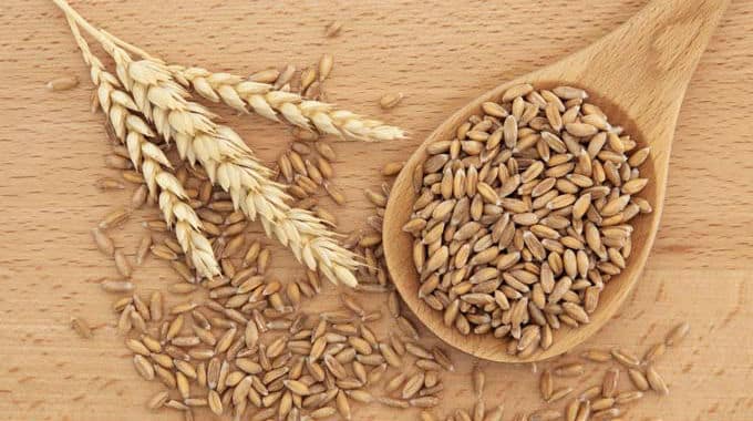 9 Beneficios de la Espelta - El Que es, Propiedades y Recetas 1 9 Beneficios de la Espelta - El Que es, Propiedades y Recetas 1