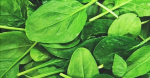 4 Cosas que Usted Puede Comer a Voluntad sin Ganar Peso