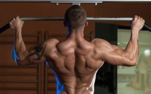 15 Mejores Ejercicios para Espalda en Casa, y la Academia