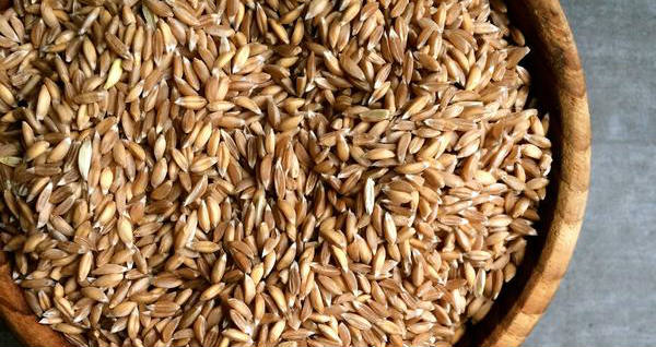 10 Beneficios del Farro - Para Que Sirve y Propiedades 1 10 Beneficios del Farro - Para Que Sirve y Propiedades 1