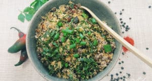 9 Recetas de Frijoles Tropero Vegano