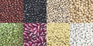 La dieta de la Haba para adelgazar - cómo funciona y consejos