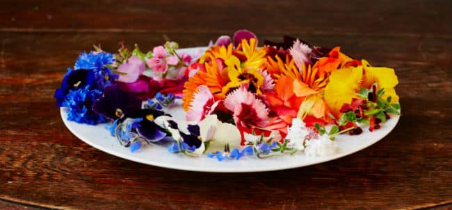 Flores Comestibles - Tipos, Cómo Elegir, Cómo Usar y Recetas 1