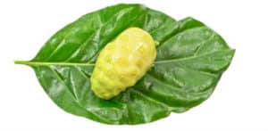 ¿Té de hojas de noni para bajar de peso? Para qué sirve, beneficios y cómo hacerlo