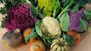 Alimentos Ricos en Queratina – SaludResponde.Org
