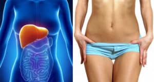 Cómo Derretir la Grasa de la Barriga Comiendo lo Que le Gusta – Médico Explica
