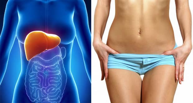Cómo Derretir la Grasa de la Barriga Comiendo lo Que le Gusta - Médico Explica 1 Cómo Derretir la Grasa de la Barriga Comiendo lo Que le Gusta - Médico Explica 1