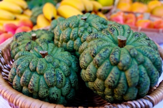 Fruta del Conde Engorde? - SaludResponde.Org 1 Fruta del Conde Engorde? - SaludResponde.Org 1
