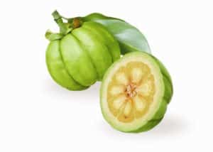 Garcinia Cambogia Adelgazar? Cómo Funciona y Efectos