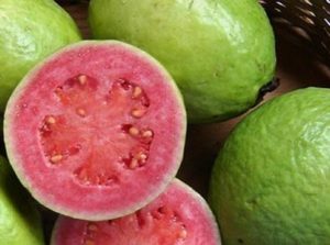 Guayaba Ata o Suelta el Intestino?