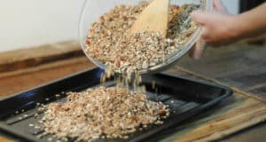 6 Recetas de Granola Vegana Light