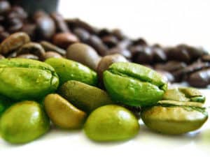 Green Coffee Adelgaza? Cómo Funciona?