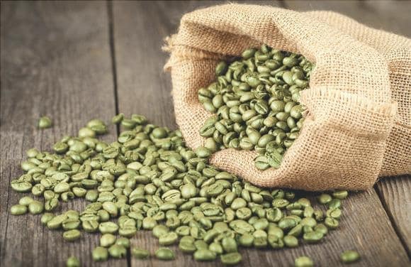 green coffee cosecha