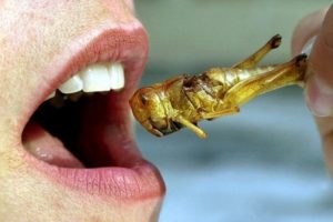 5 Alimentos Extraños para Reponer Energías Antes, Durante y Después del Entrenamiento