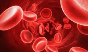 Hemoglobina Baja o Alta – ¿qué es, Causas, Síntomas y Tratamiento