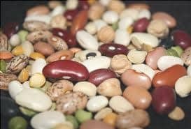 Entrenamiento Con Pesas Adelgaza? Datos y Consejos 3 los mismos