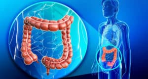 Como Hacer una Limpieza Intestinal Natural – 9 Consejos