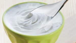 Yogur Griego Engorde? Calorías y Análisis Completo