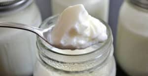 4 Recetas de Yogur Low Carb