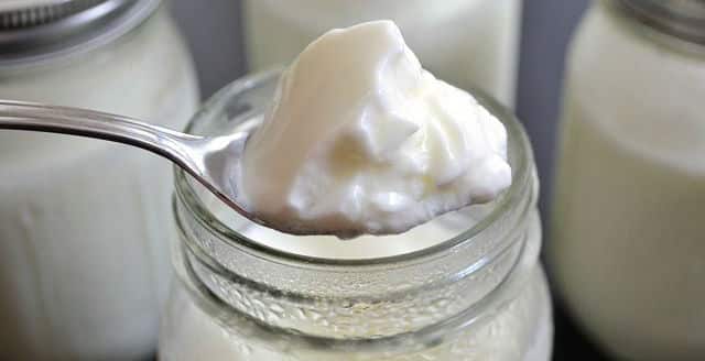 4 Recetas de Yogur Low Carb 1 4 Recetas de Yogur Low Carb 1