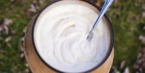 10 Recetas de Yogur Vegano