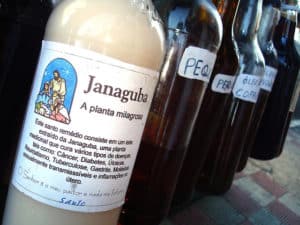 12 Beneficios de la Leche de Janaguba