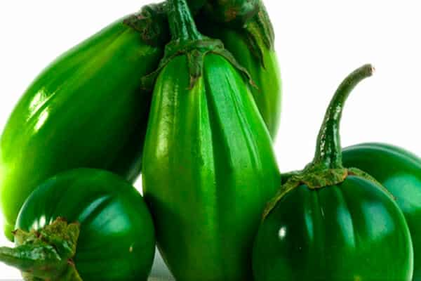 Jiló Adelgaza? Beneficios, Calorías y Consejos 1 Jiló Adelgaza? Beneficios, Calorías y Consejos 1