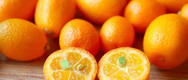 22 Beneficios de la naranja Kinkan para la buena forma y salud 1 22 Beneficios de la naranja Kinkan para la buena forma y salud